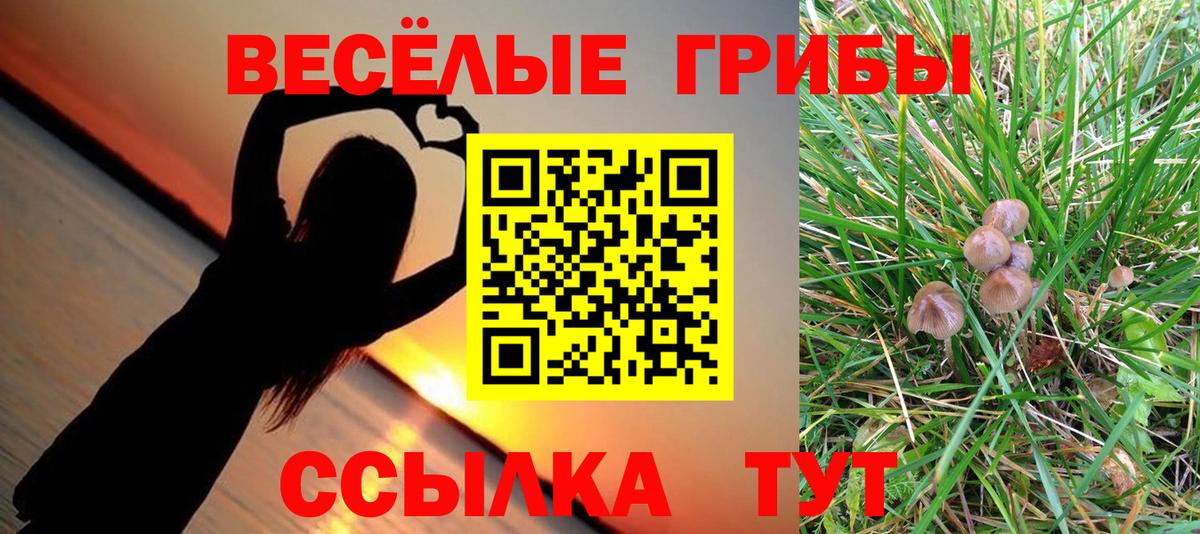 Галлюциногенные грибы MAGIC MUSHROOMS  Вход с VPN  Кувандык  Псилоцибиновые грибы MAGIC MUSHROOMS 