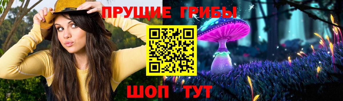 Галлюциногенные грибы Psilocybe Кувандык